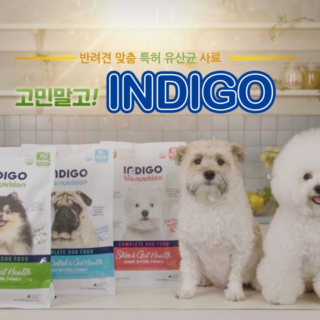 포트폴리오-[제작 일괄 진행 ]인디고 강아지 사료 홍보 영상