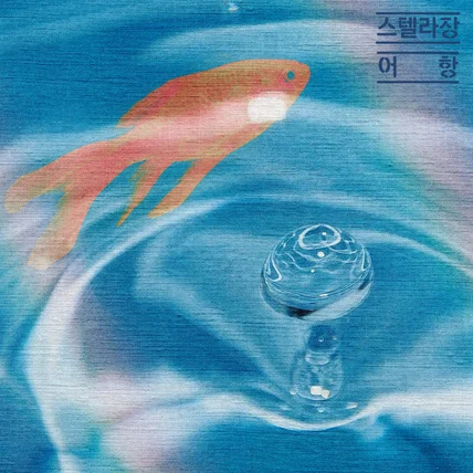 포트폴리오-스텔라장 - 어항 (Album Cover Redesign) 앨범 아트