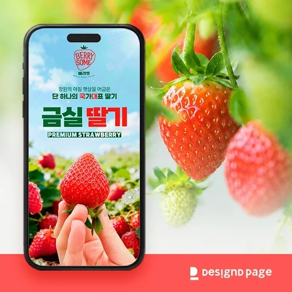 포트폴리오 메인이미지