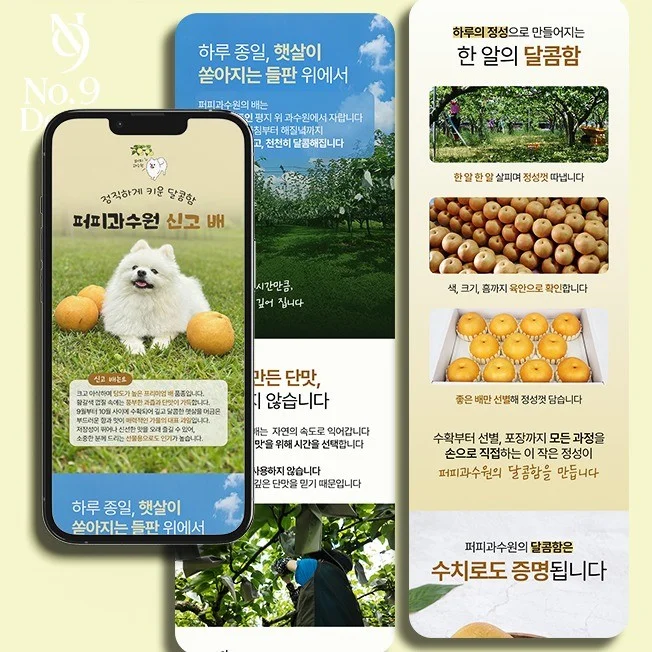 포트폴리오 메인이미지