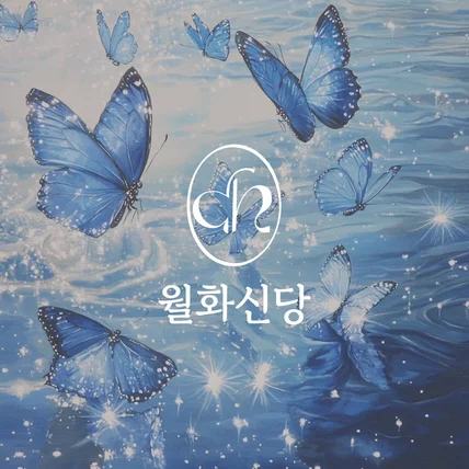 포트폴리오-월화신당 로고 디자인 제작