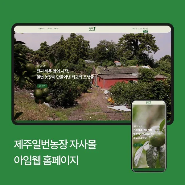 포트폴리오 메인이미지