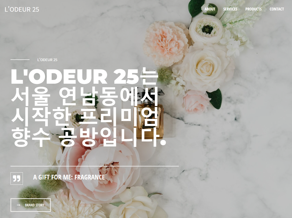 디자인 포트폴리오