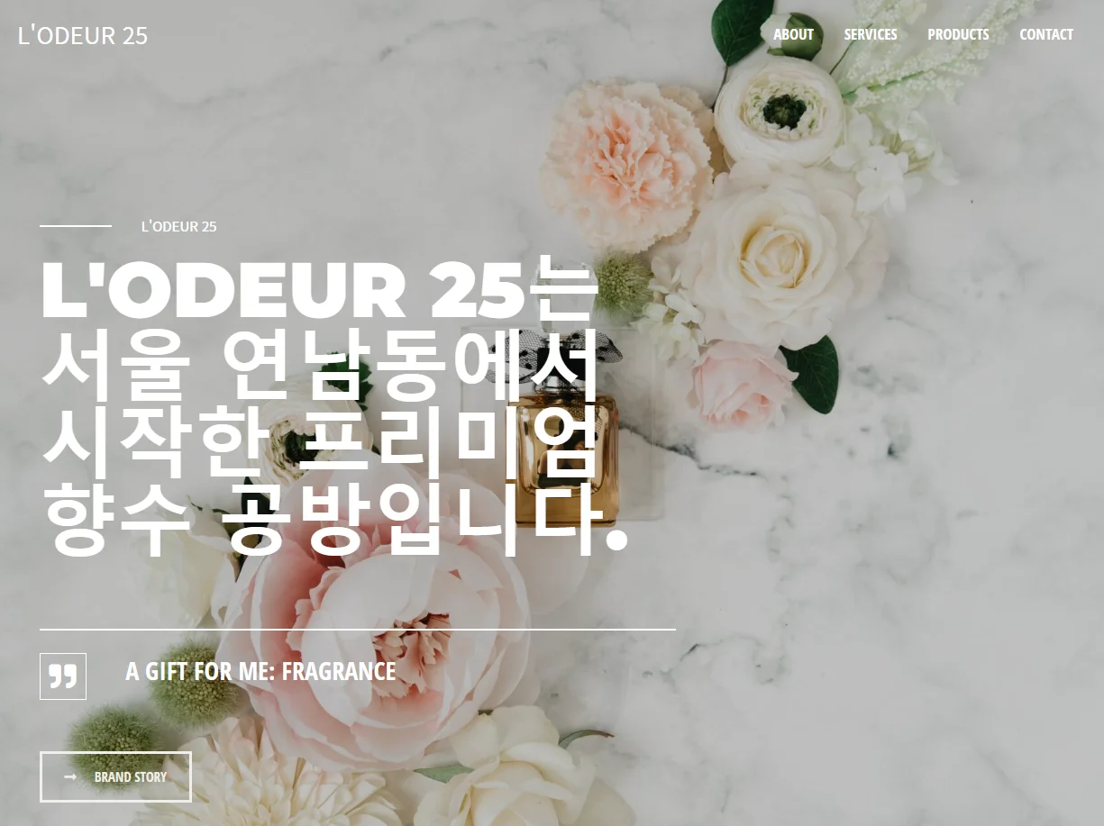 디자인 포트폴리오