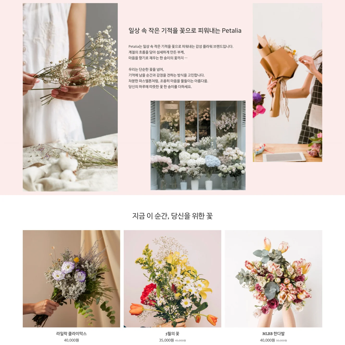 디자인 포트폴리오