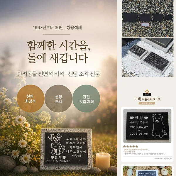 디자인 포트폴리오
