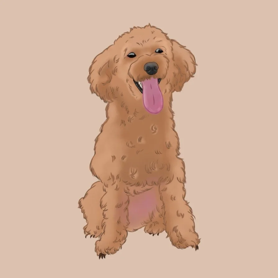 포트폴리오 메인이미지