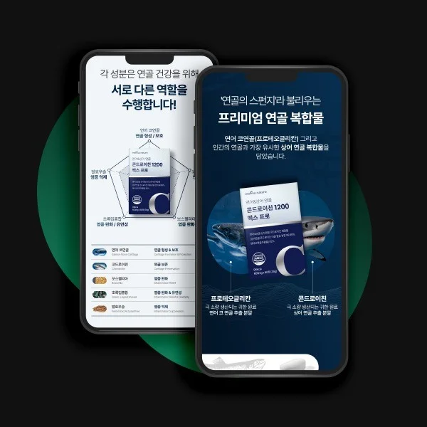 포트폴리오 메인이미지