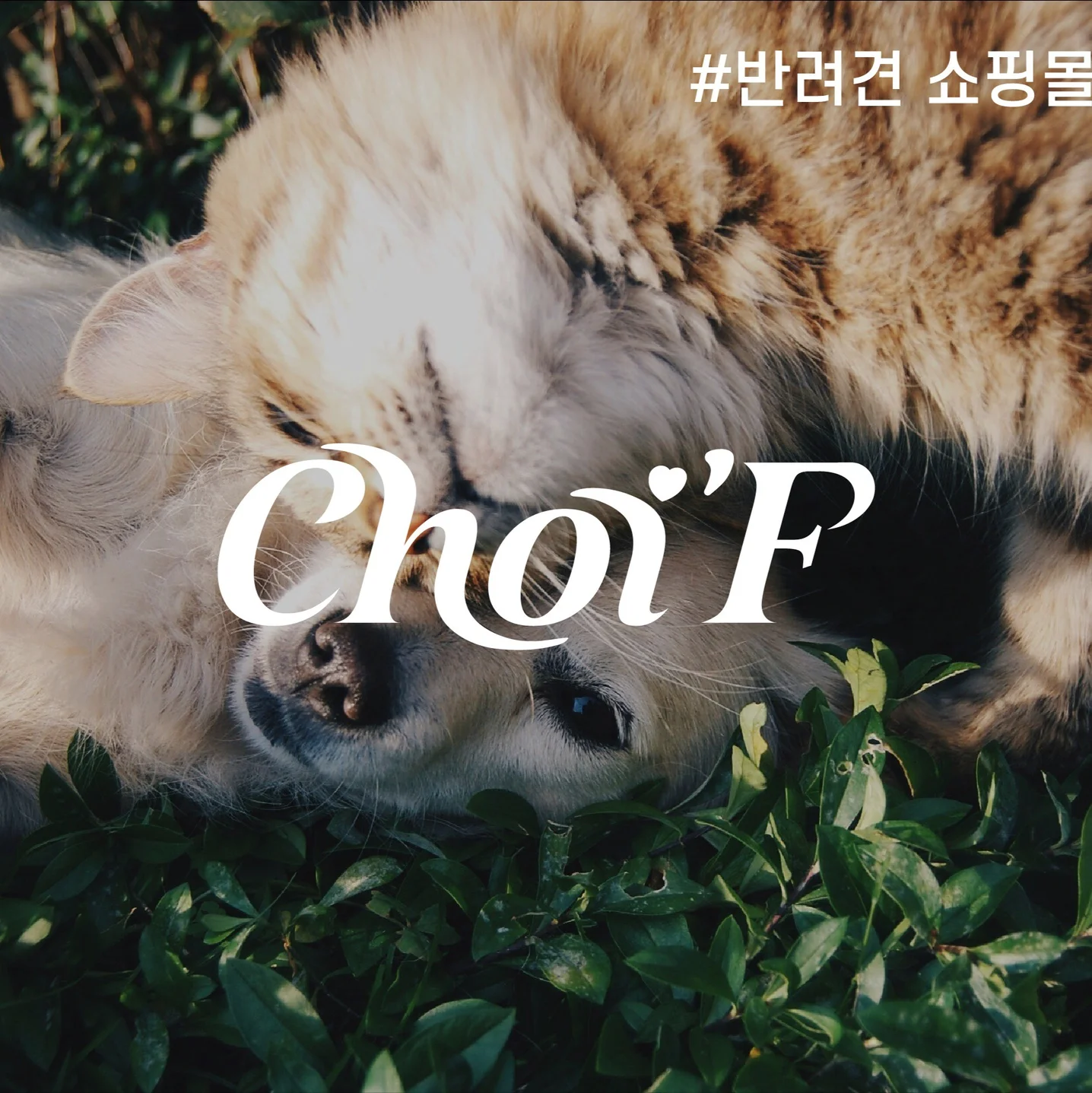 포트폴리오 메인이미지
