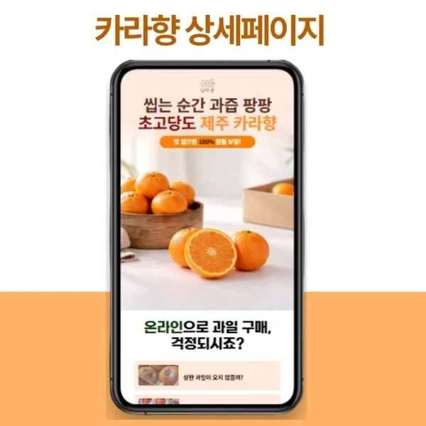 포트폴리오 메인이미지
