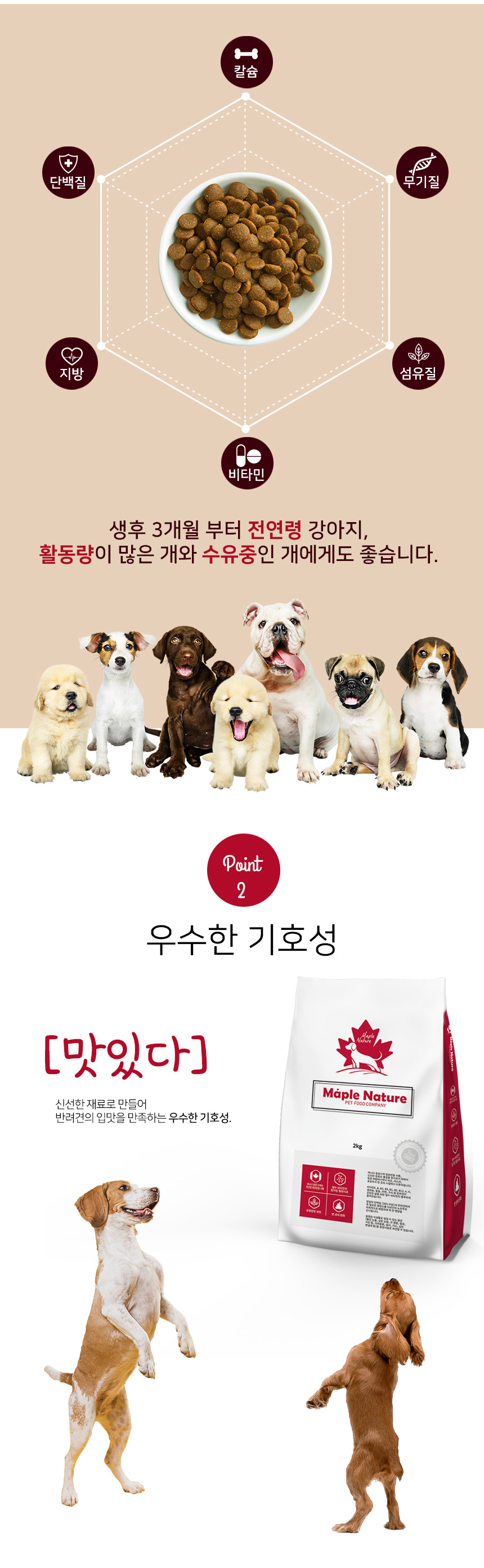 제품사진없이 목업파일로 제작한 상세페이지 (반려견 사료), 상세페이지 포트폴리오 - 크몽