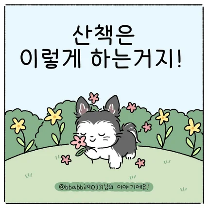 포트폴리오-강아지 인스타툰 웹툰 브랜드툰