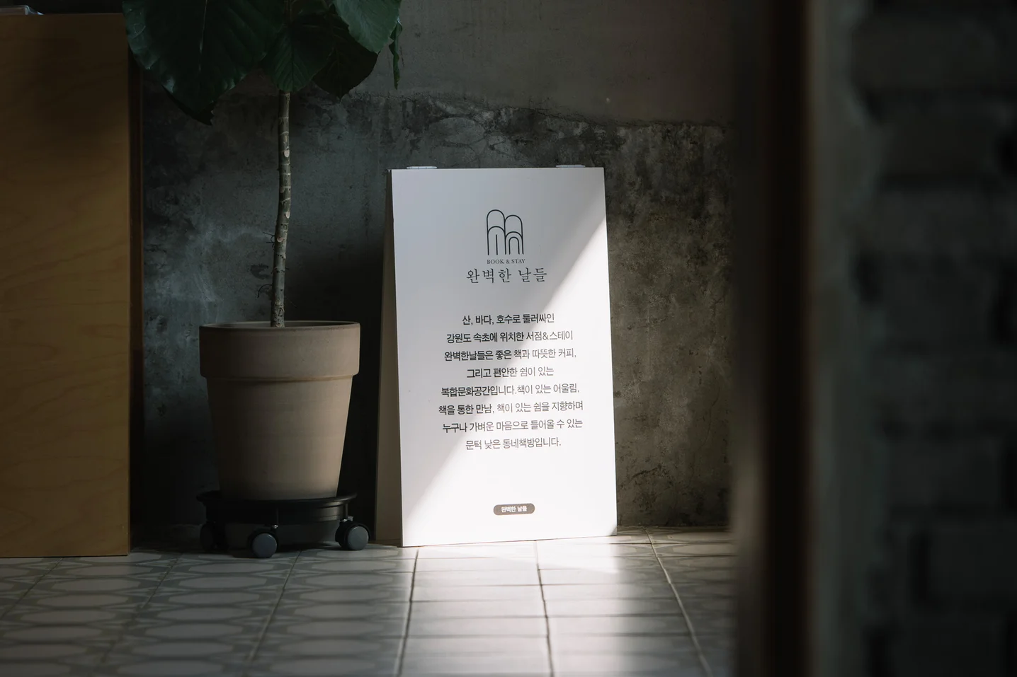 디자인 포트폴리오