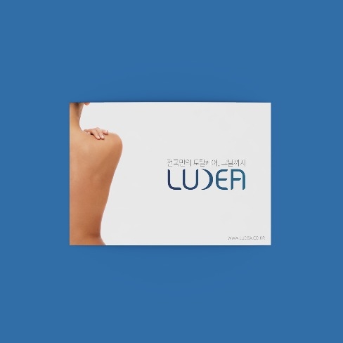 포트폴리오-Ludea company profile