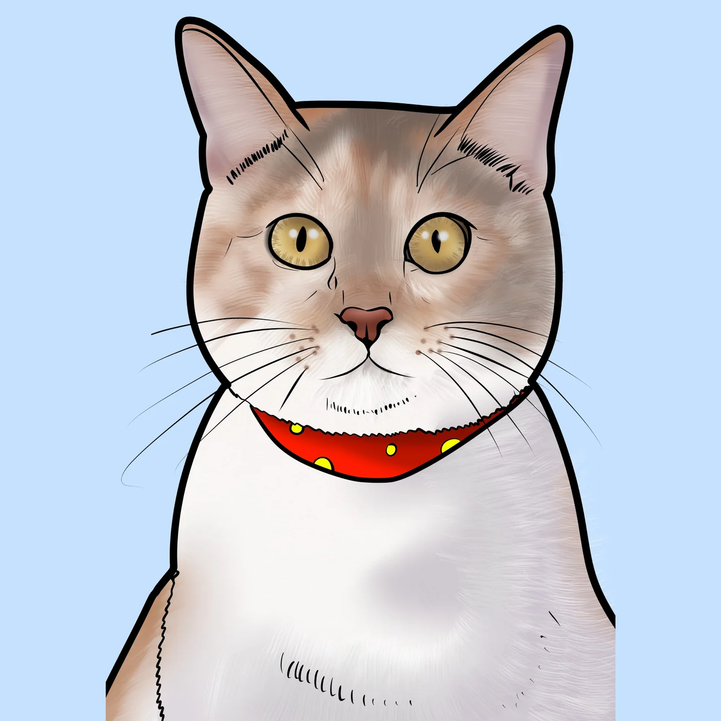 포트폴리오 메인이미지