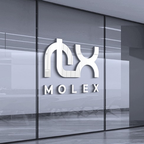 포트폴리오-등산의류 브랜드 "MOLEX / 모렉스"
