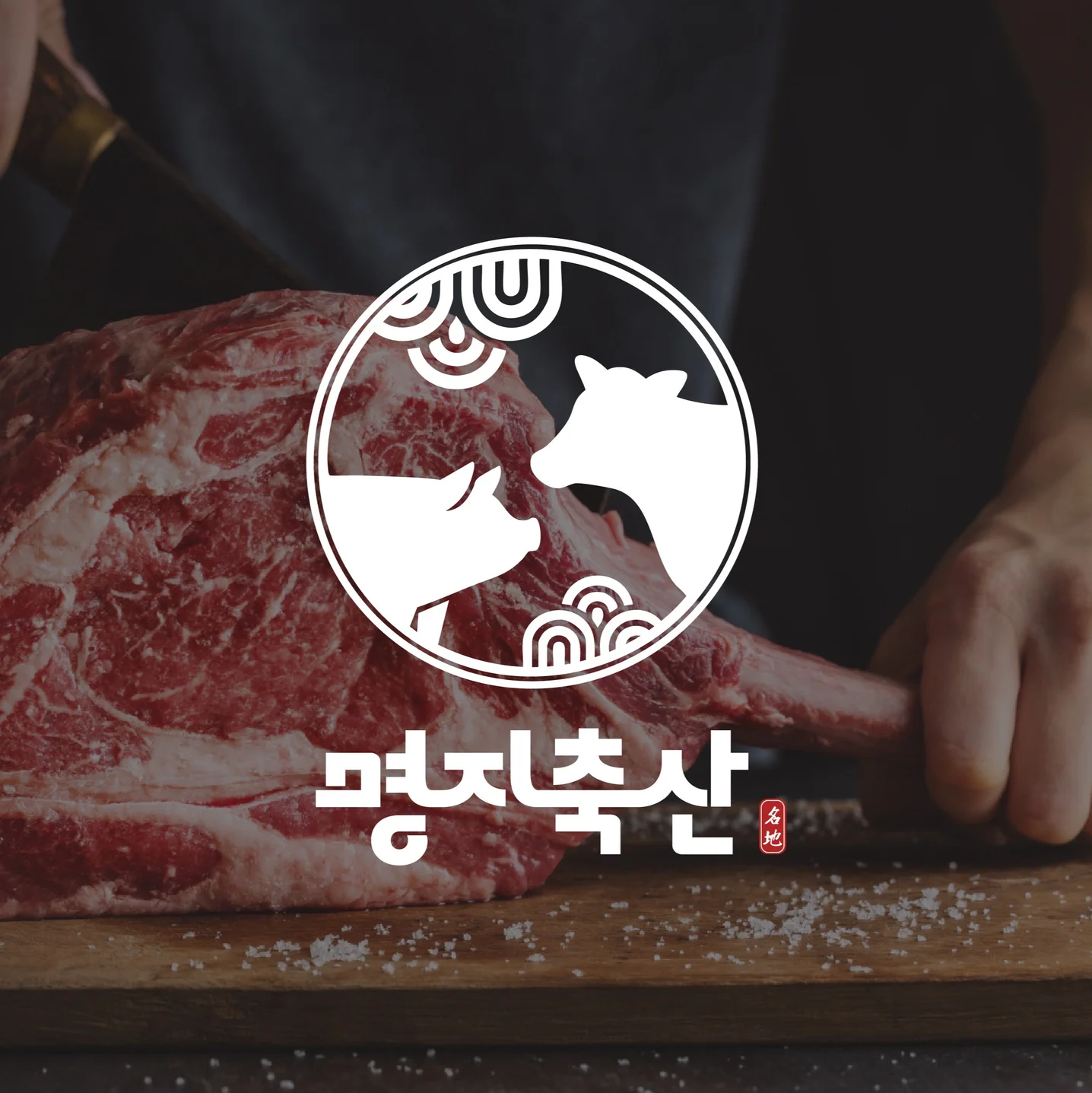 포트폴리오 메인이미지