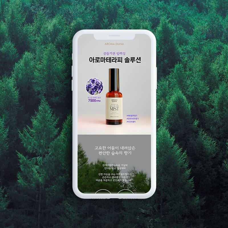포트폴리오 메인이미지