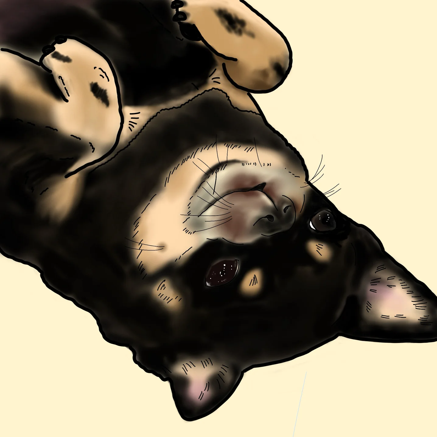 포트폴리오 메인이미지