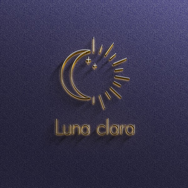 포트폴리오-Luna clara BI 제작