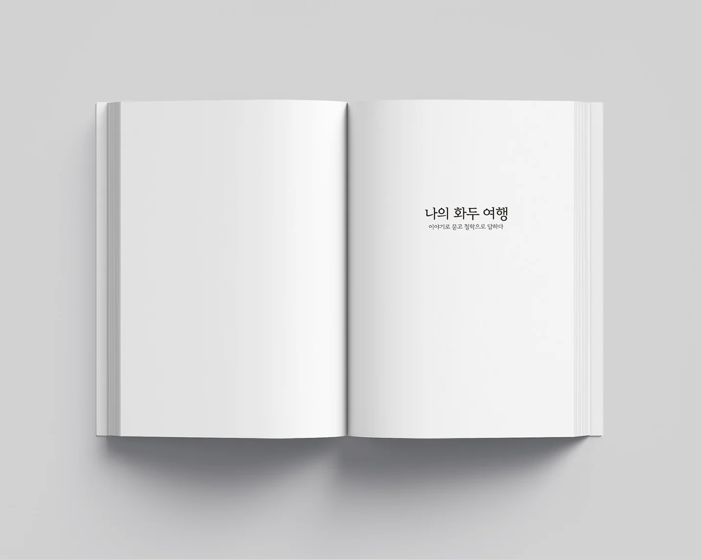 디자인 포트폴리오