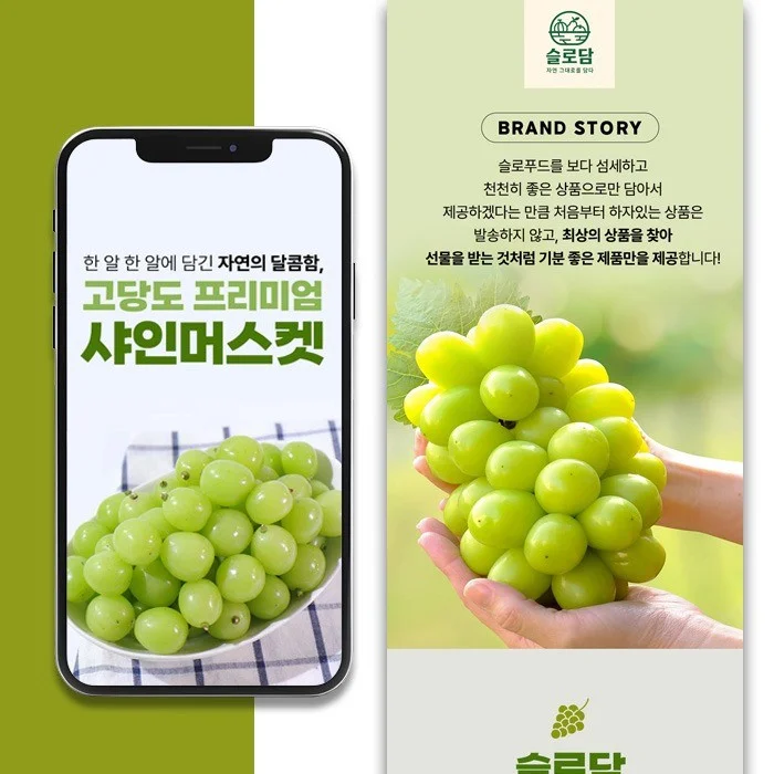 포트폴리오 메인이미지