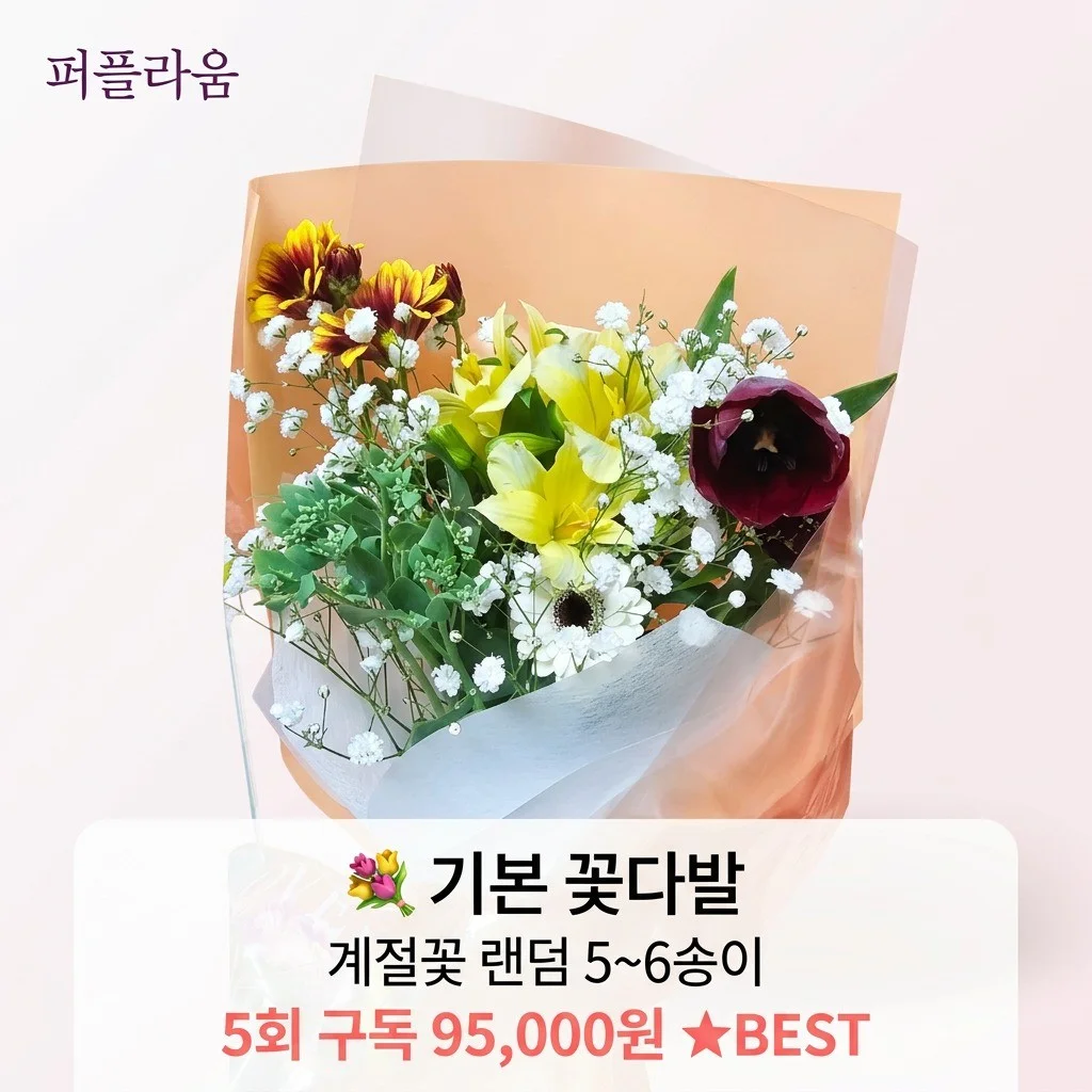 포트폴리오 메인이미지