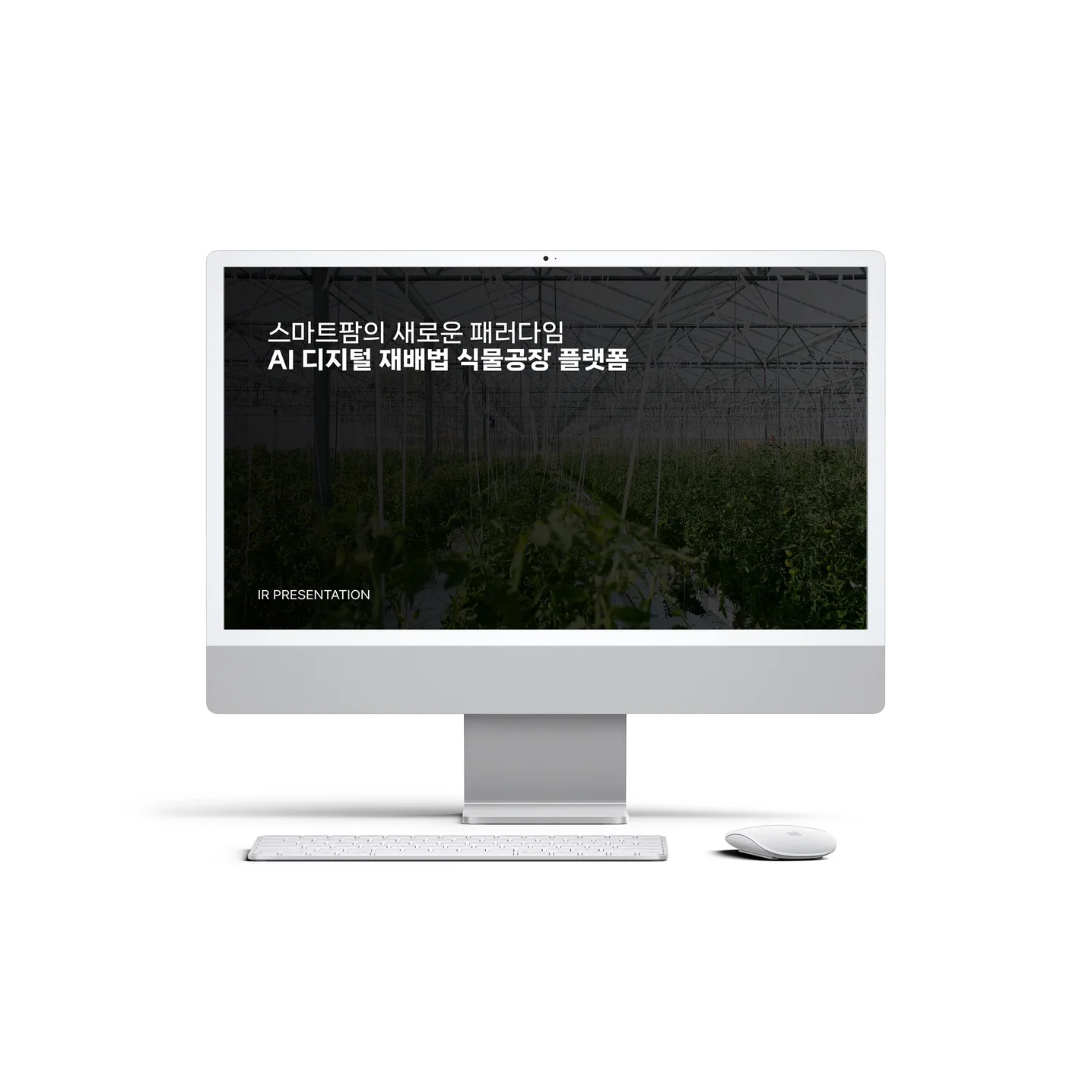 포트폴리오 메인이미지