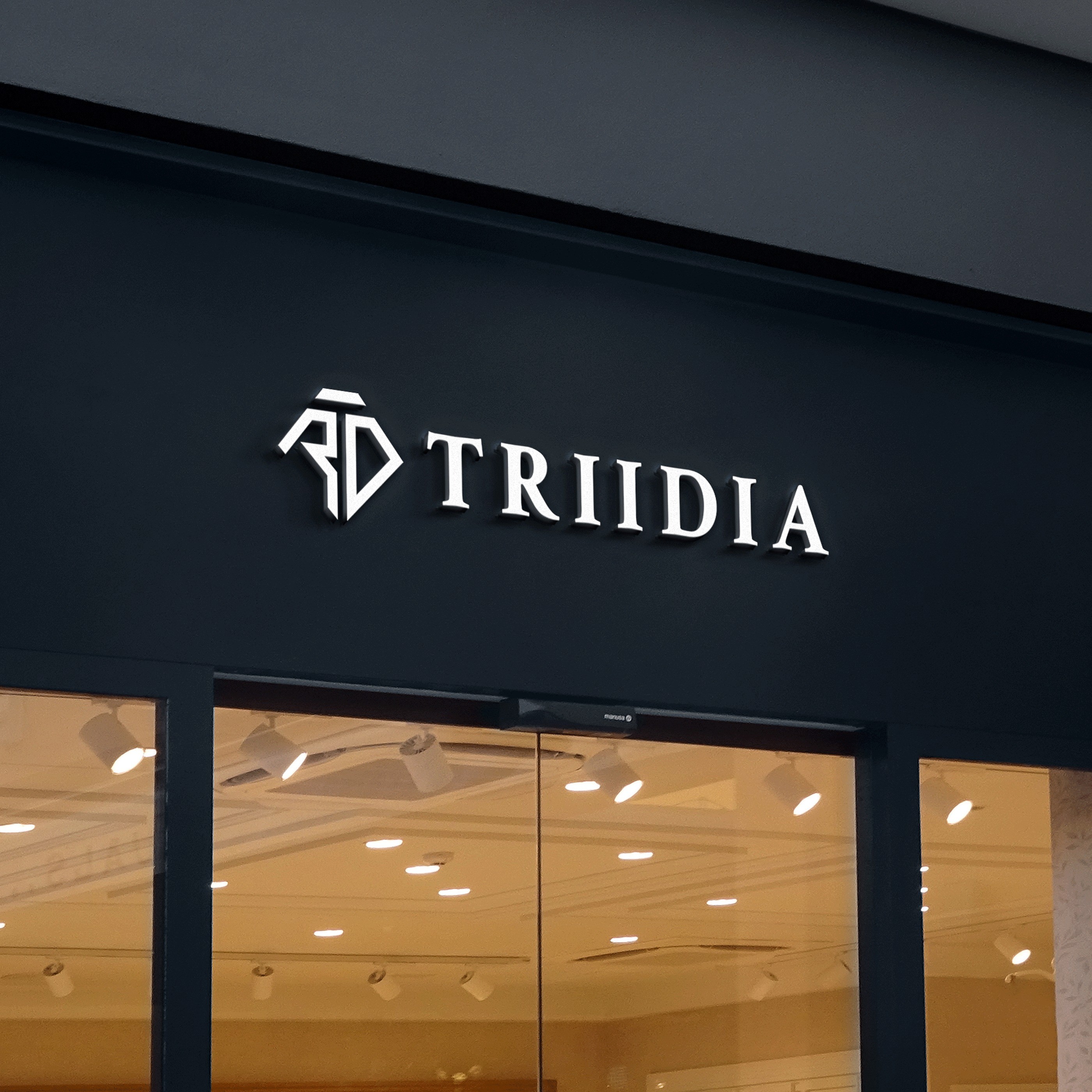 포트폴리오-TRIIDIA 로고디자인