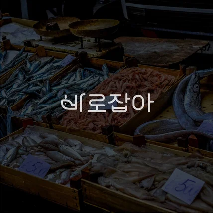 포트폴리오-바로잡아 로고디자인