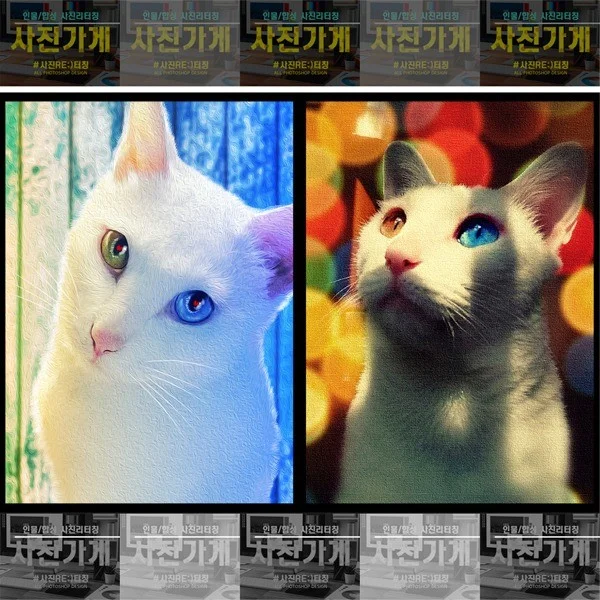 포트폴리오 메인이미지