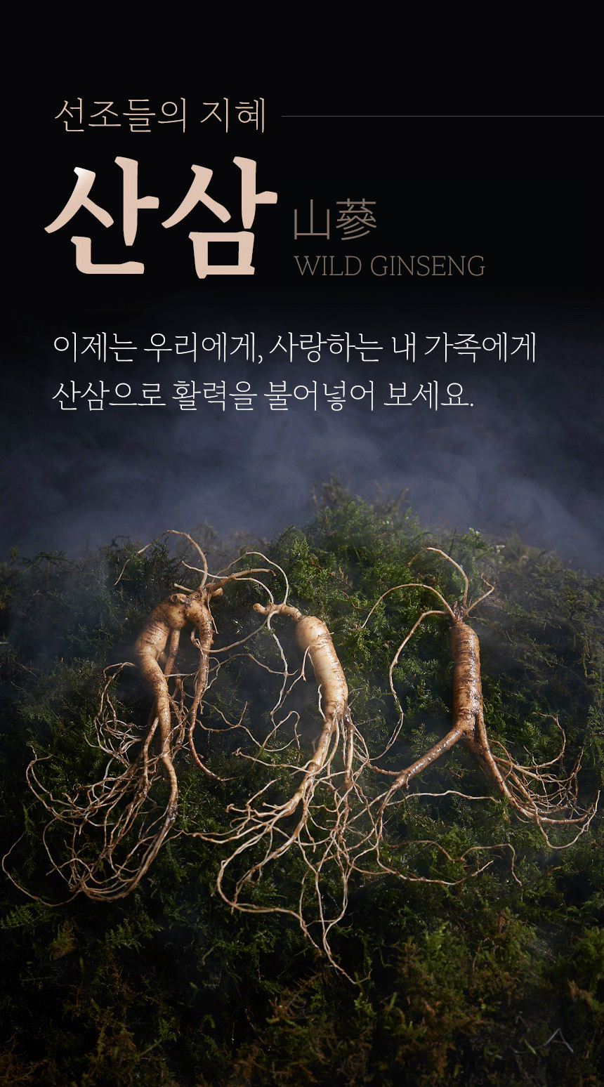 산삼 관련 상세페이지, 상세페이지 포트폴리오 - 크몽