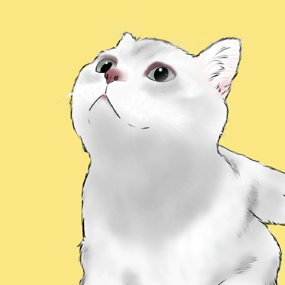 포트폴리오 메인이미지