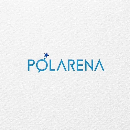 포트폴리오-POLARENA 로고 디자인