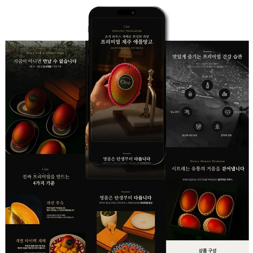 포트폴리오 메인이미지