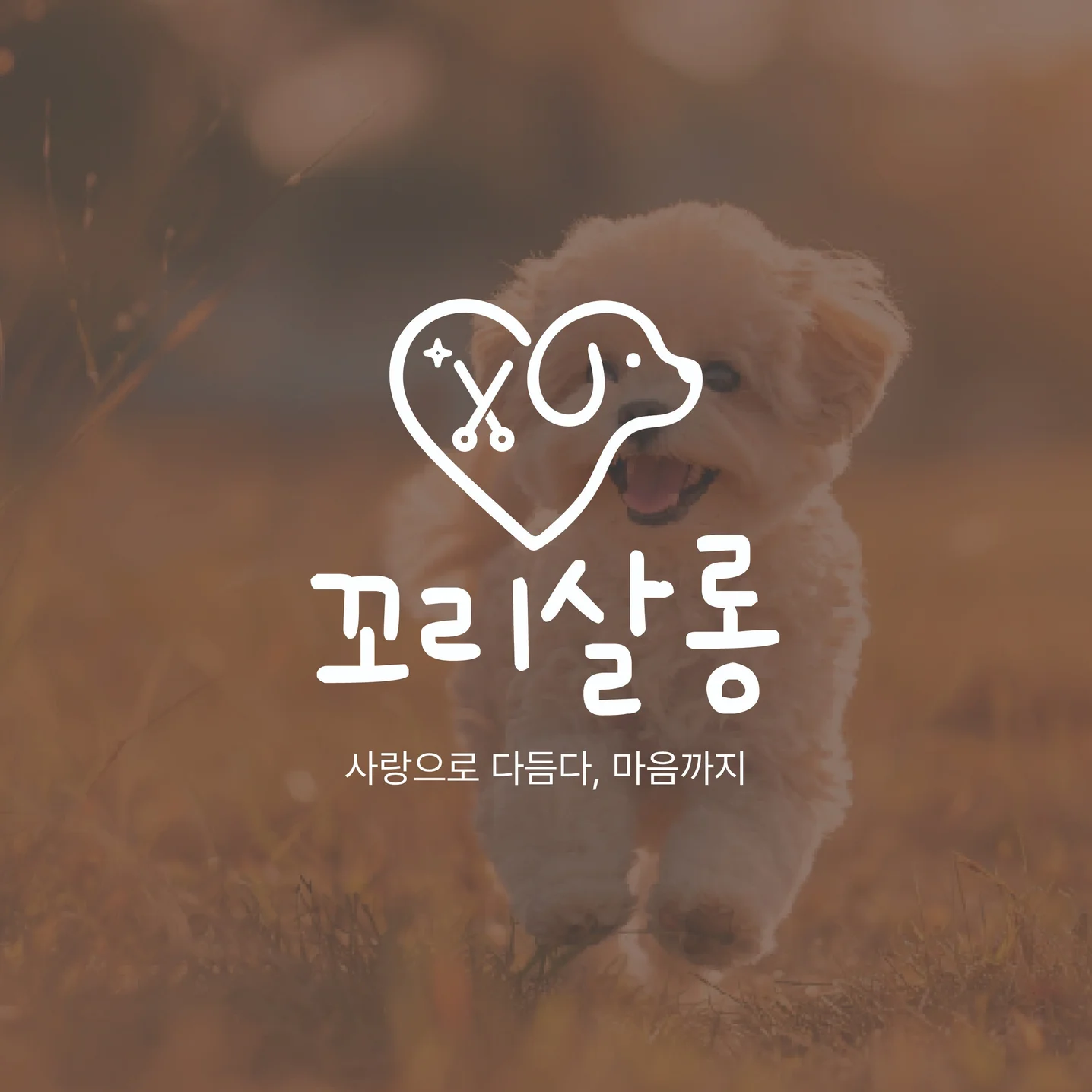 포트폴리오 메인이미지