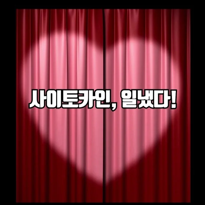 포트폴리오 메인이미지