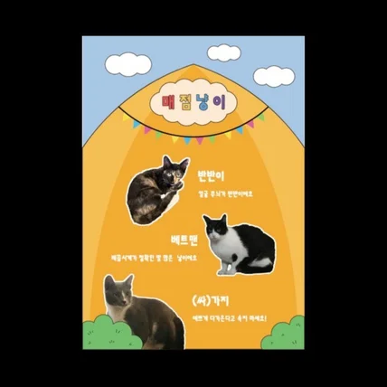 포트폴리오-고양이 소개 전단지