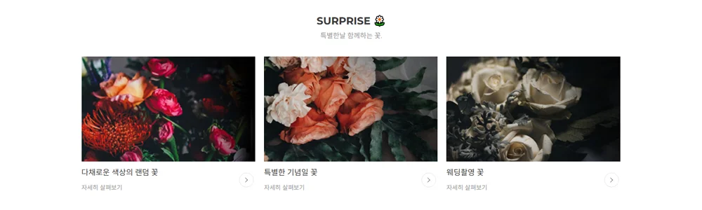 디자인 포트폴리오