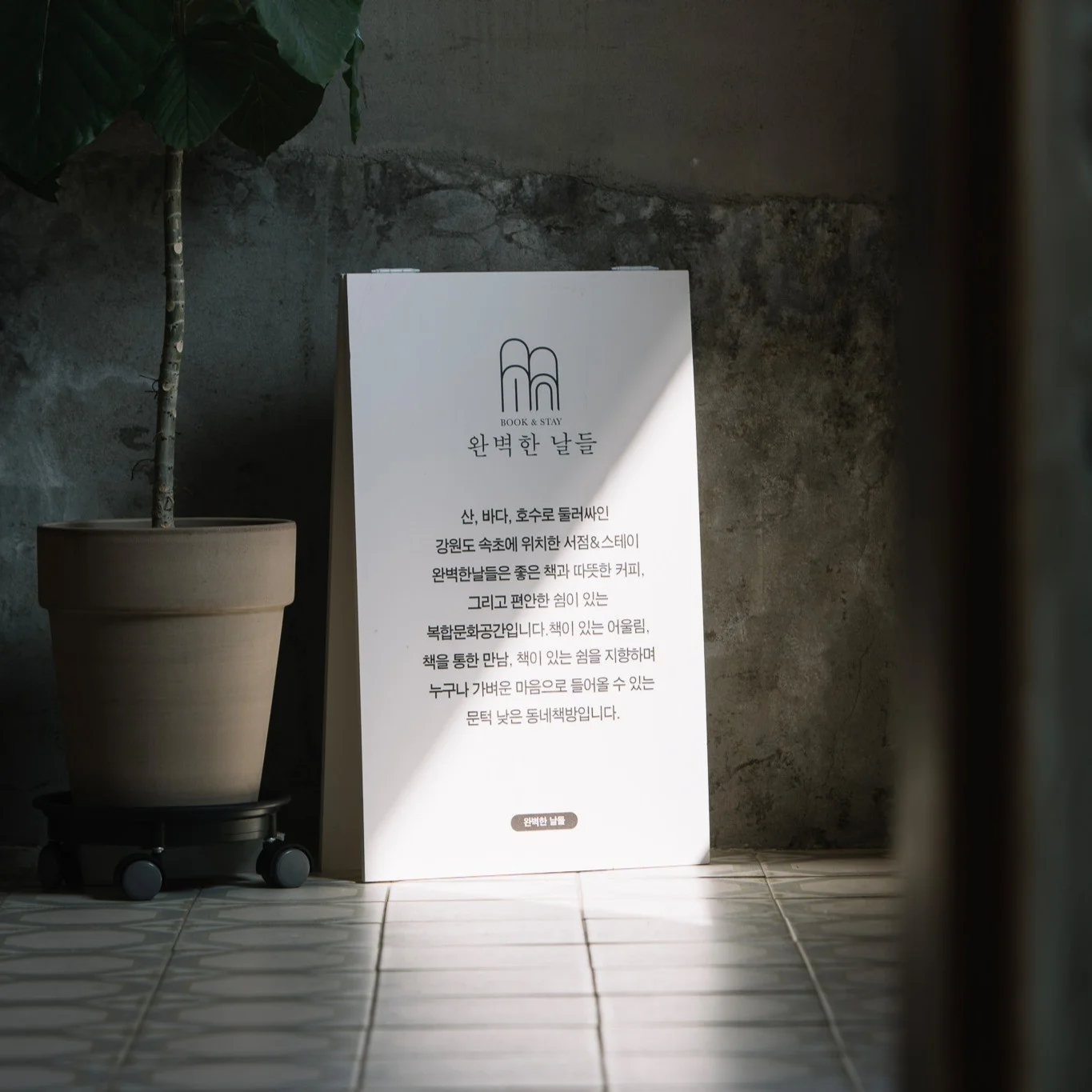포트폴리오 메인이미지