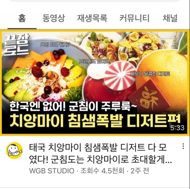 포트폴리오-[내레이션] WGB 스튜디오의 여행유튜브 끝장로드 치앙마이편 길거리음식편
