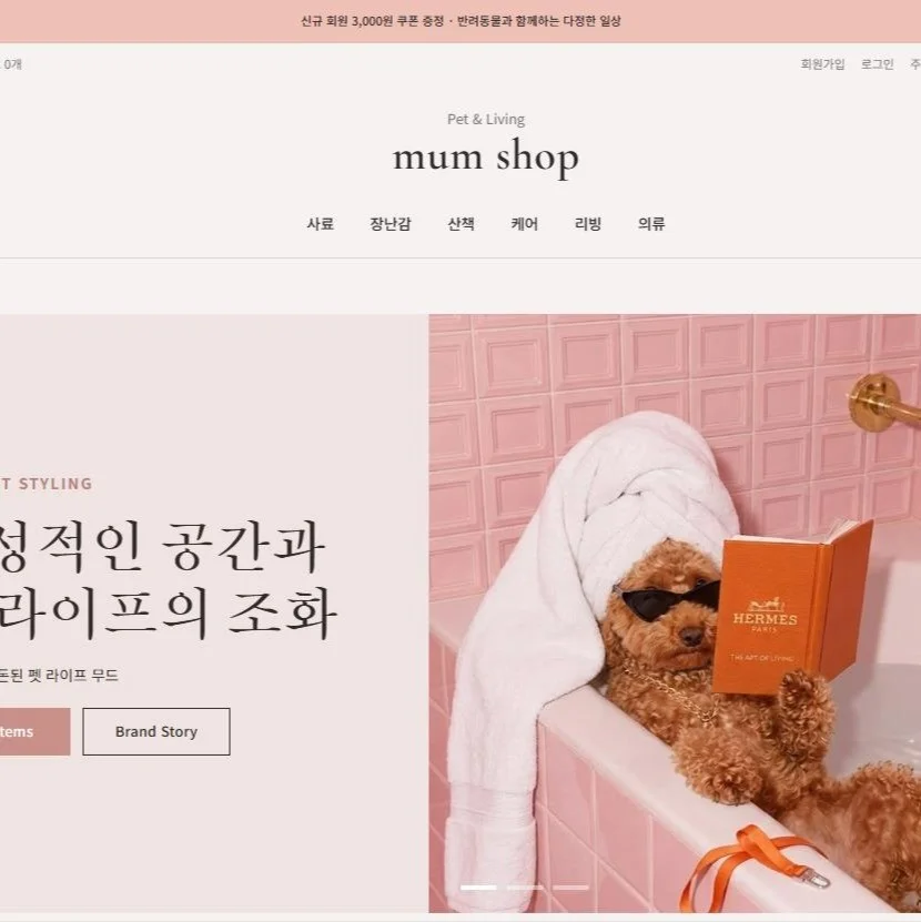 포트폴리오 메인이미지
