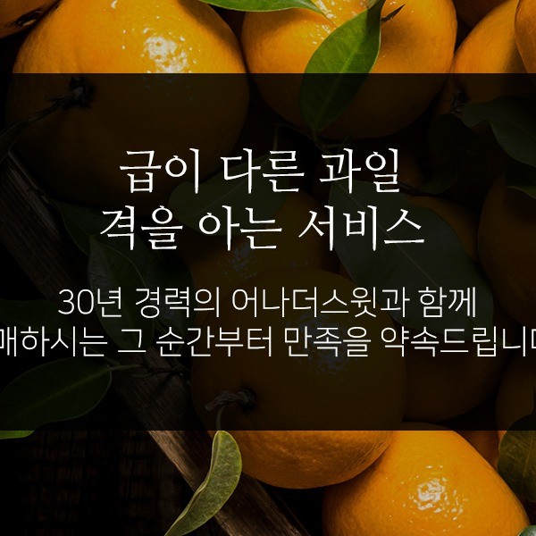 마케팅 디자인, PPT·인포그래픽 전문가 오더라컴퍼니 - 크몽