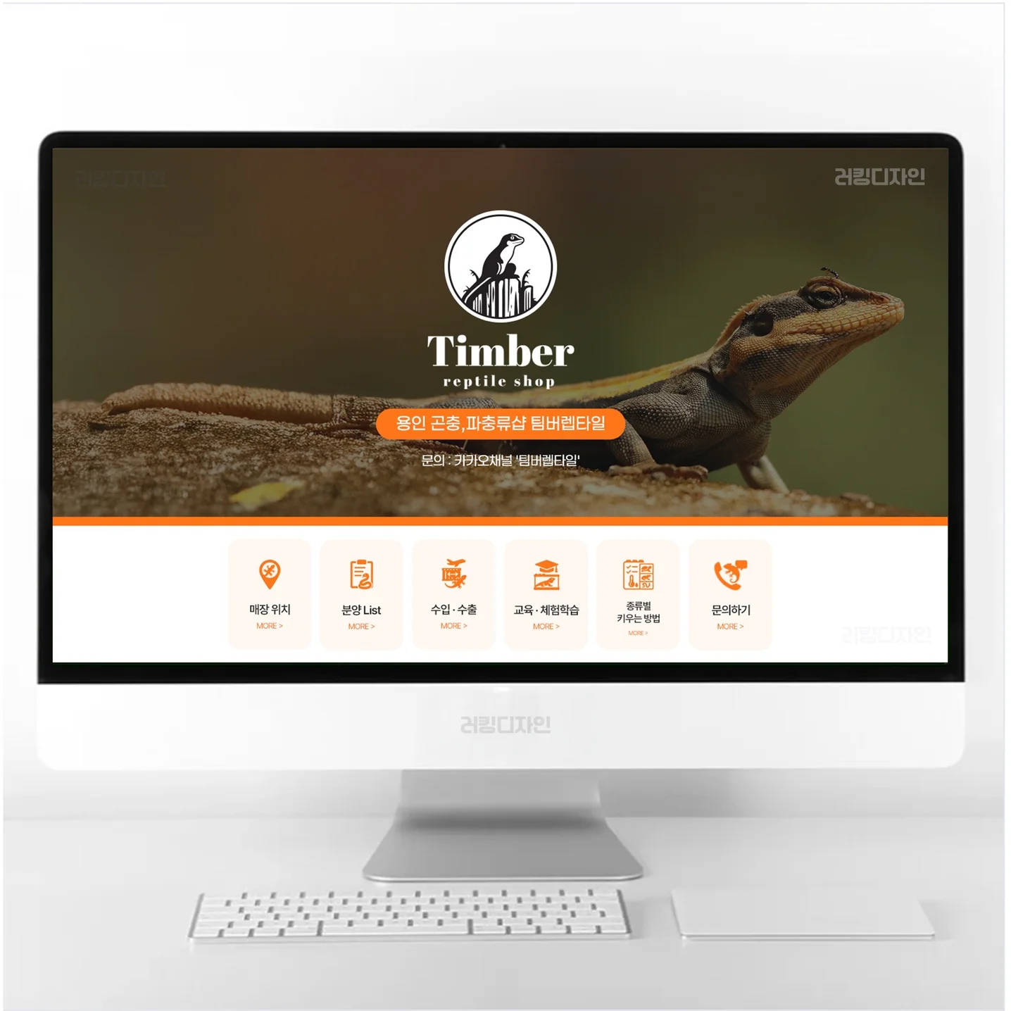 포트폴리오 메인이미지