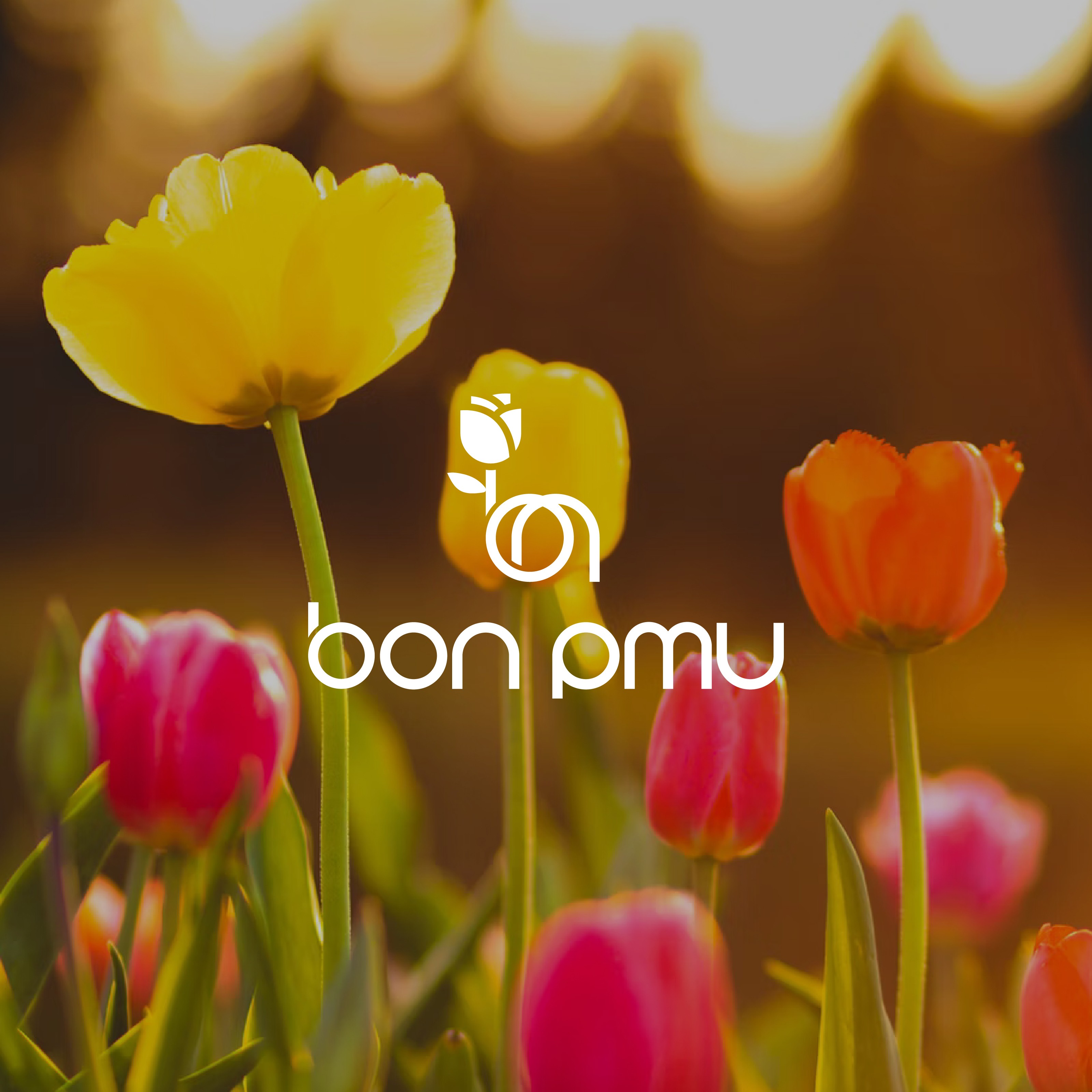 포트폴리오-" bon pmu "