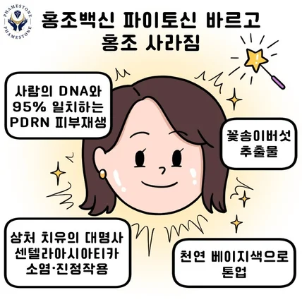 포트폴리오-파메스톤 에스테틱 웹툰