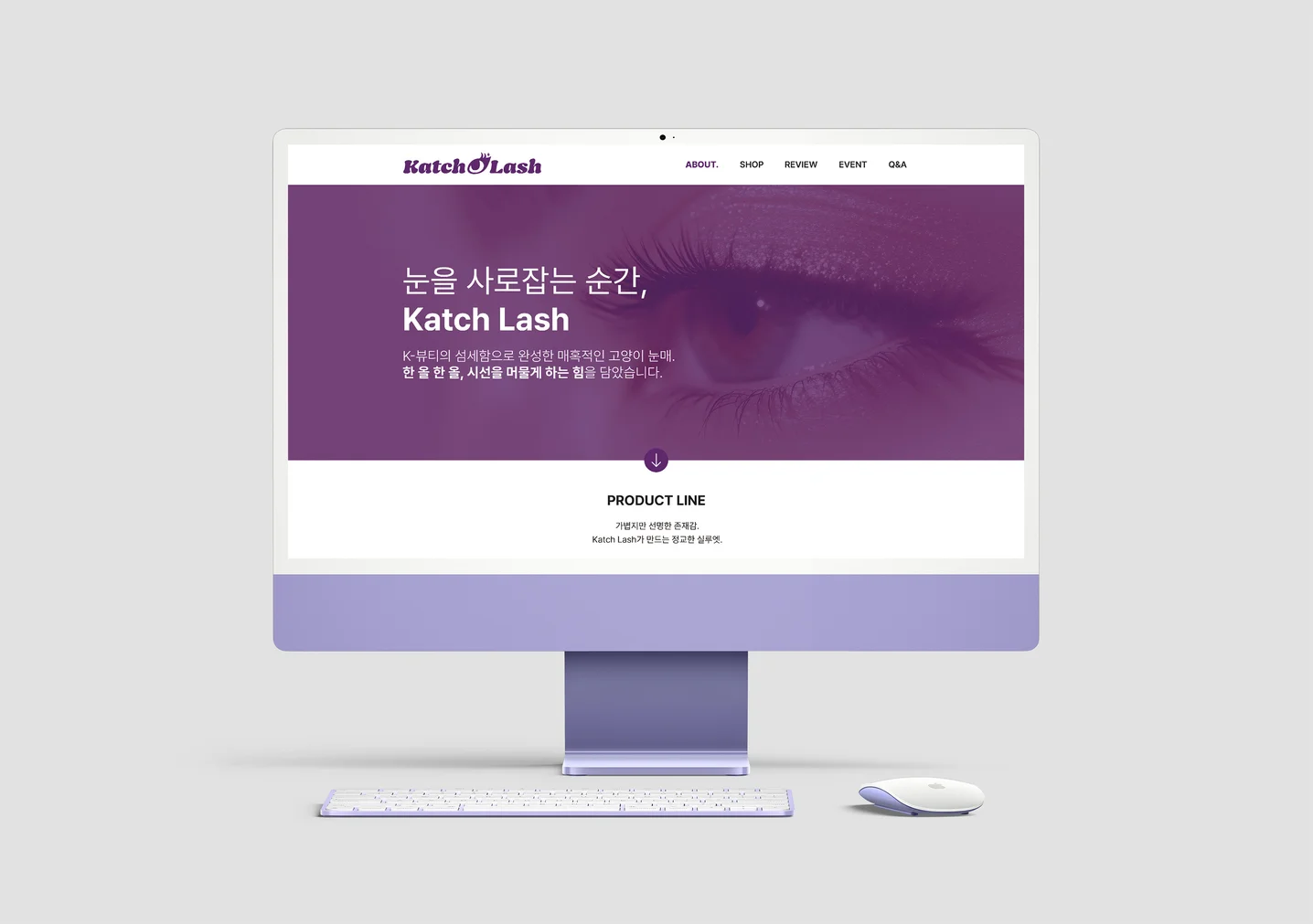 디자인 포트폴리오