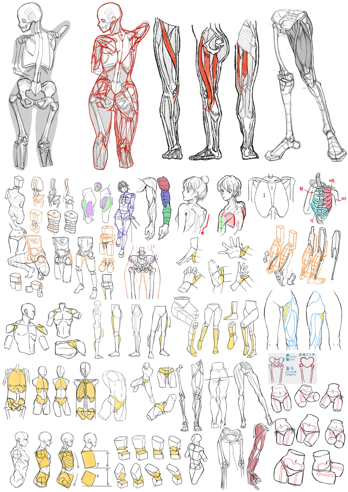 디자인 포트폴리오