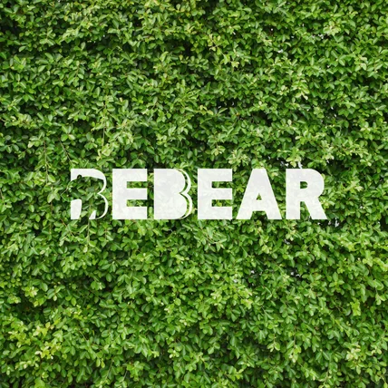 포트폴리오-의류 브랜드 "Bebear"
