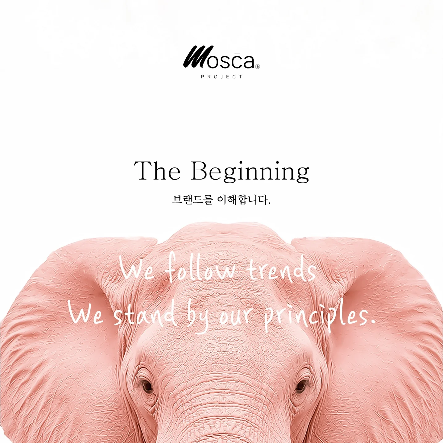 포트폴리오 메인이미지